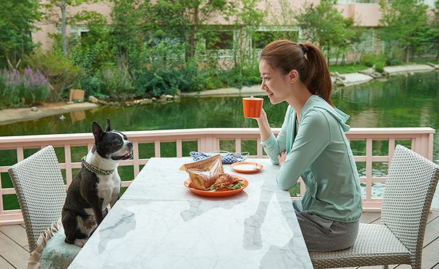すべてのレストランは愛犬と席まで同伴可能