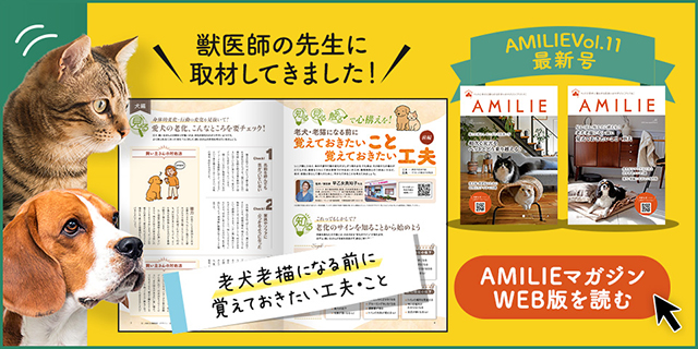 AMILIE マガジン Vol.11