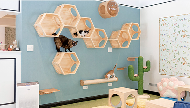 MYZOO六角ハウス｜お部屋になじむデザイン性も魅力
