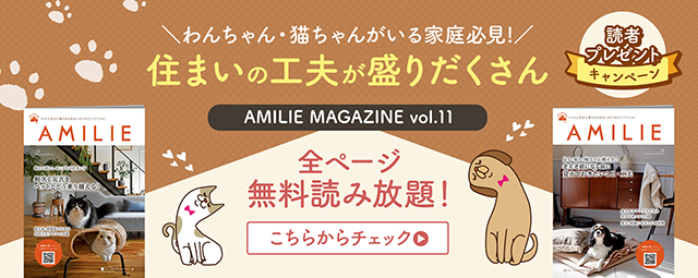 住まいの工夫が盛りだくさん