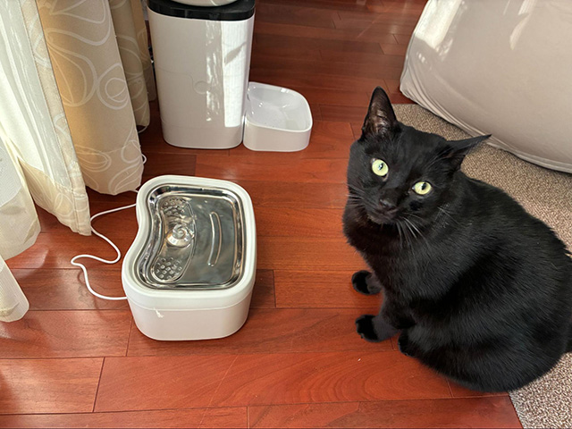 まとめ|「miruto」で愛猫の健康を“見える化”しよう