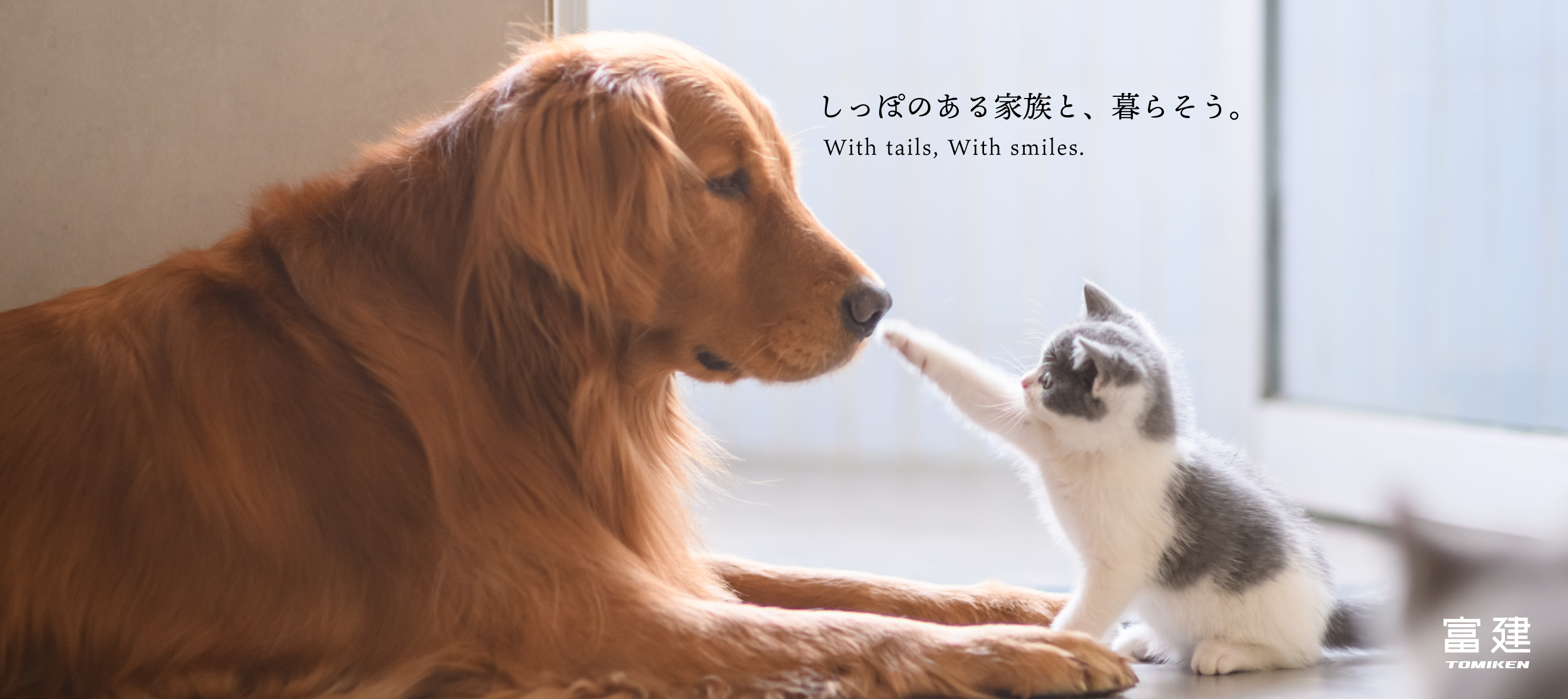 サンプル
