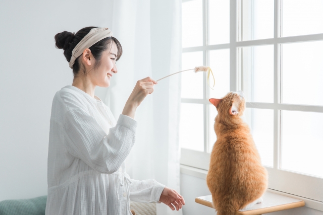 飼い主さんの心構えと心のケア