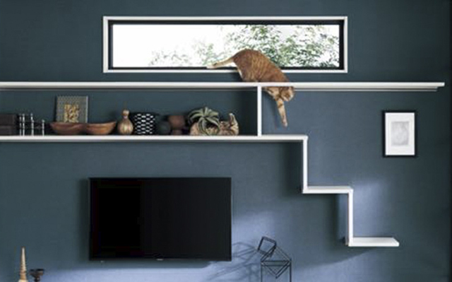 窓辺の高所スペースで「登る+くつろぐ」環境づくり