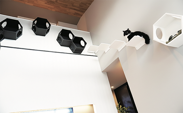 リビング・動線の工夫