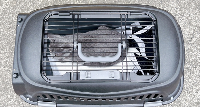 猫のクレートを選ぶ時のポイント