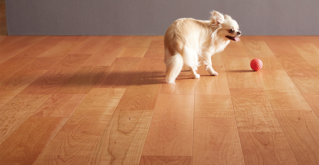 【朝日ウッドテック】Live Natural for Dog｜天然木の上質さを活かしつつ安全性にも配慮