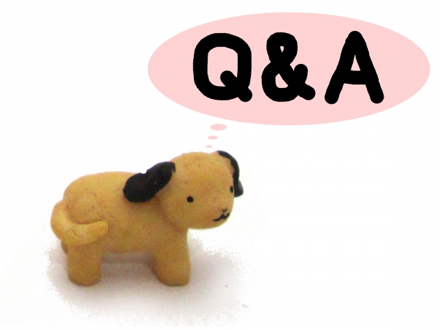 老犬の夜鳴きに関するよくある質問（FAQ）