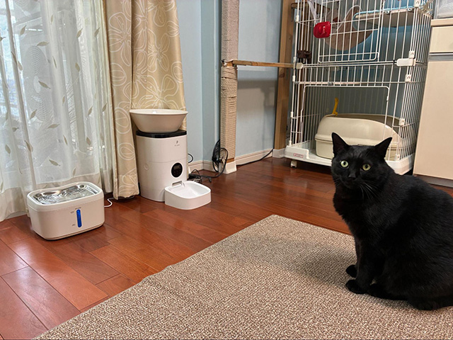 設置してみた第一印象