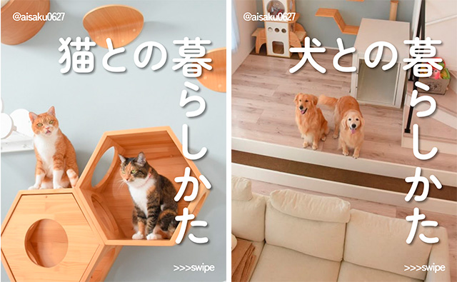 犬と猫がのびのび暮らす、絵本のような家｜ルームツアー