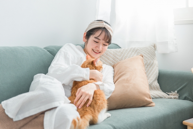 猫のアレルギーに対するおうちでできる対処法