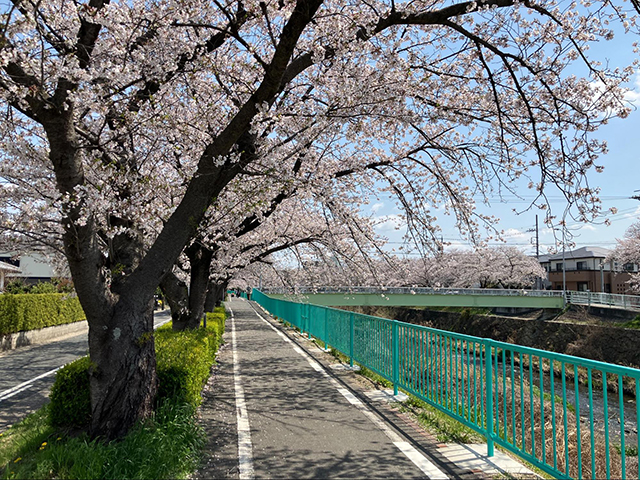 散歩がもっと楽しみになる、“緑道”のある暮らし