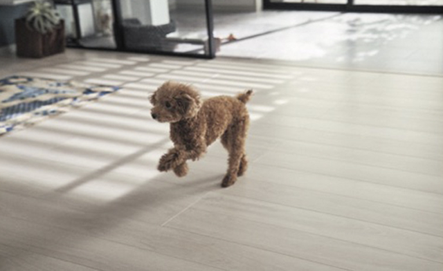 ベリティスフロアー わんにゃんSmile