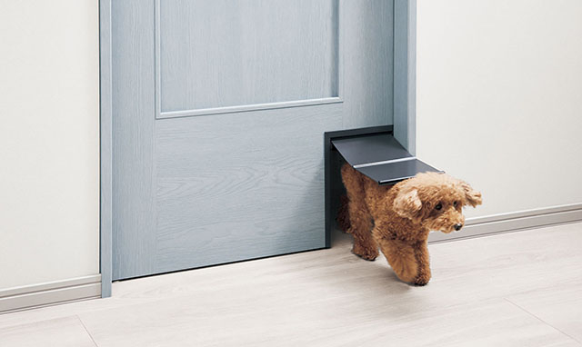 くぐり戸（内装ドア）