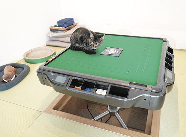 人も猫も自然と集う、くつろぎの時間