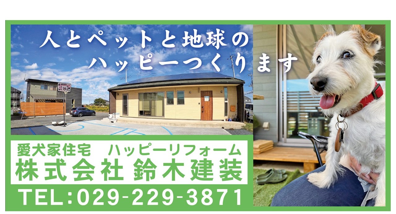 サンプル