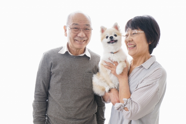 入院・入所前にしておきたいペットへの5つの備え