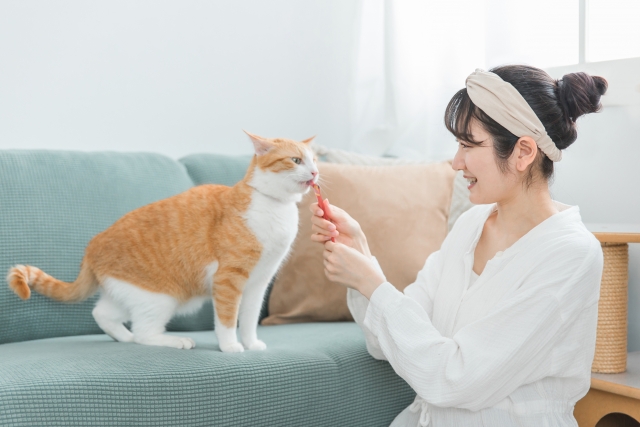 ペット可物件で後悔しやすいポイントとよくあるトラブル
