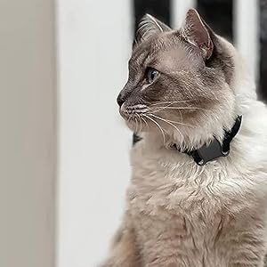 wiroouia｜LEDライト付きで夜間の捜索にも強いトラッカー