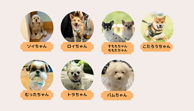 部員紹介｜犬とのくらし部