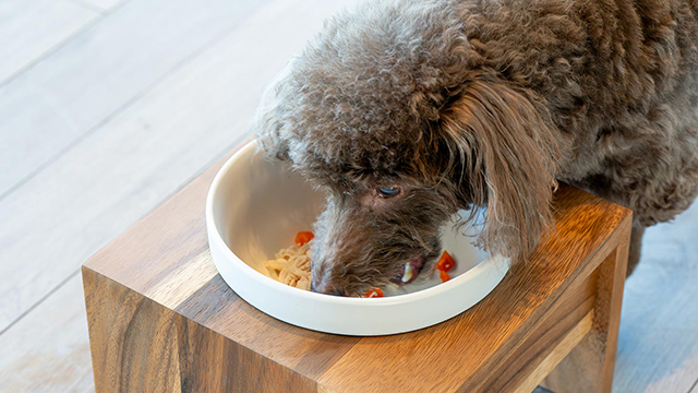 食事面のサポートも充実