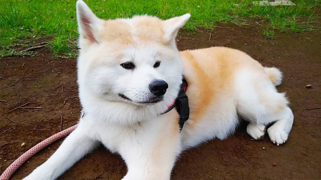 法的・責任面：トラブルを避ける最低限の考え方