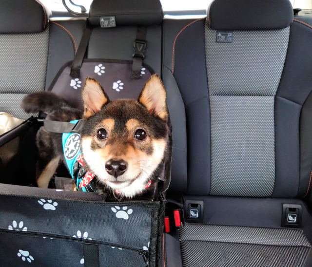 愛犬に合ったドライブボックスで安心＆快適なカーライフを