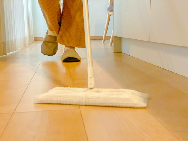 ポメプーの抜け毛対策に役立つ住環境づくりのポイント