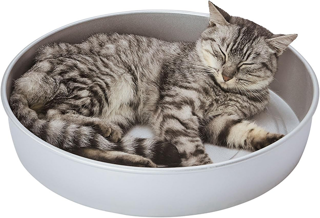 ペティオ|ひんやり両面使える「アルミねこ缶HNZ」