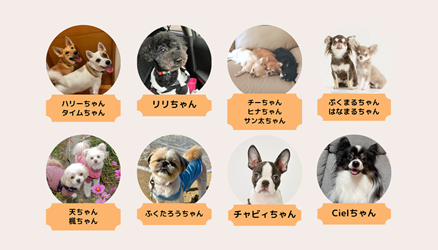 犬とのくらし部