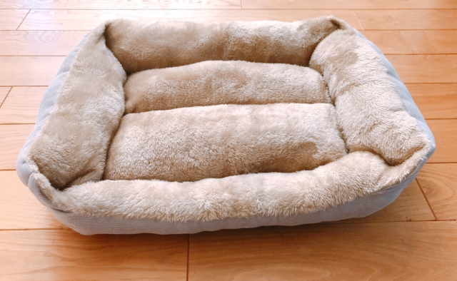 フレンチ・ブルドッグにおすすめのベッドの形とは？