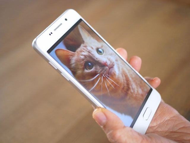 ペット後見に関するよくある質問（FAQ）