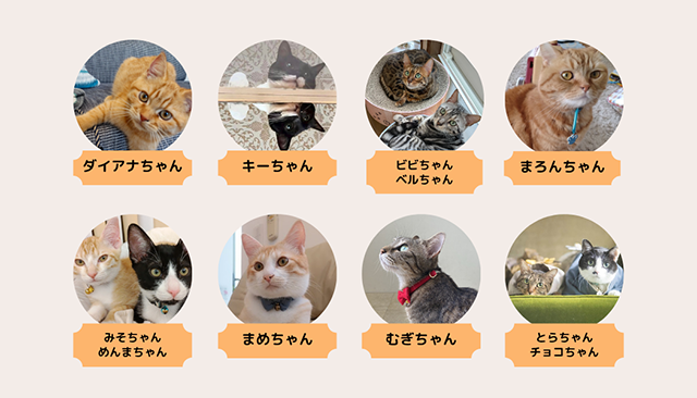 部員紹介｜猫とのくらし部