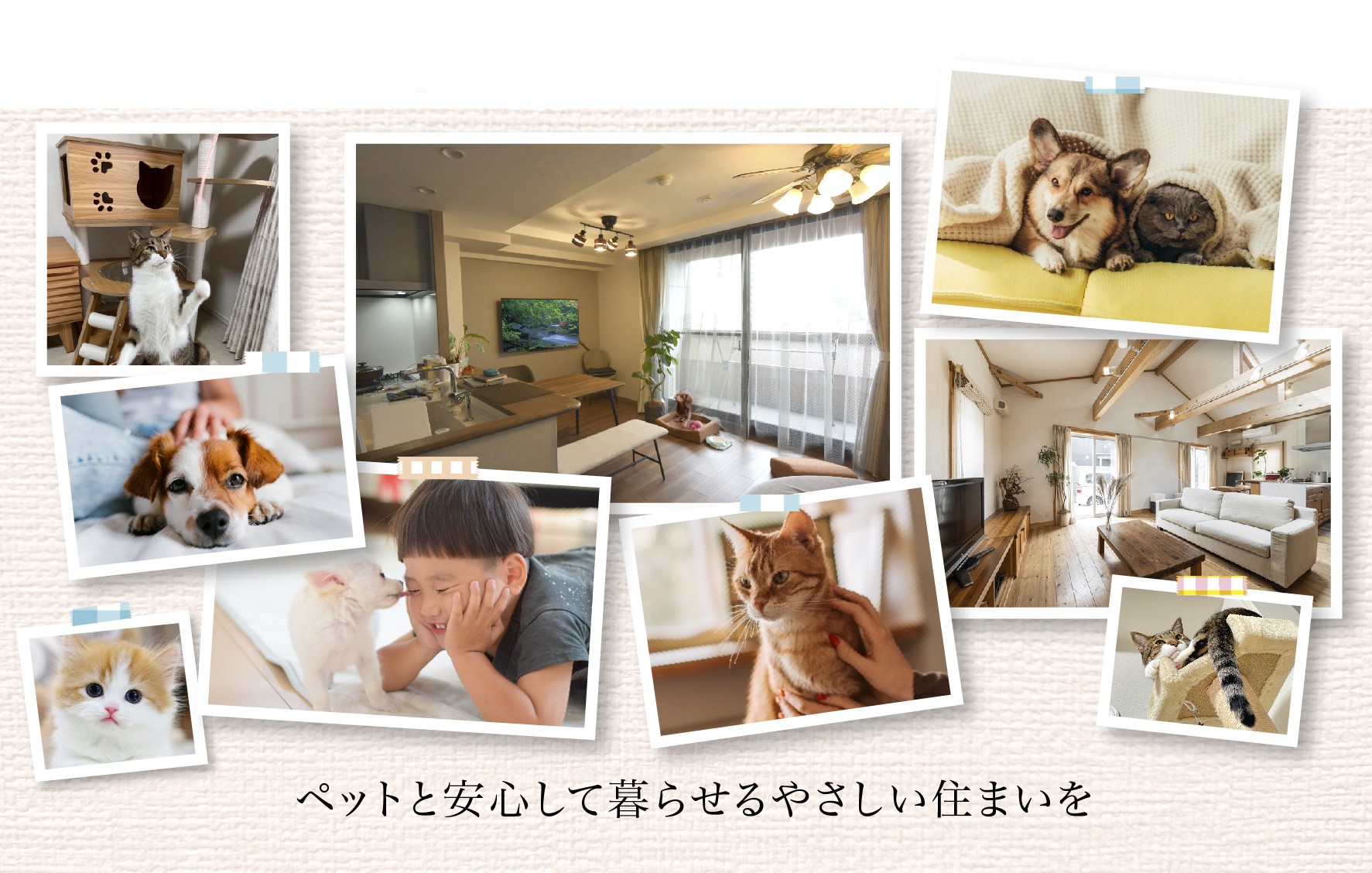 サンプル