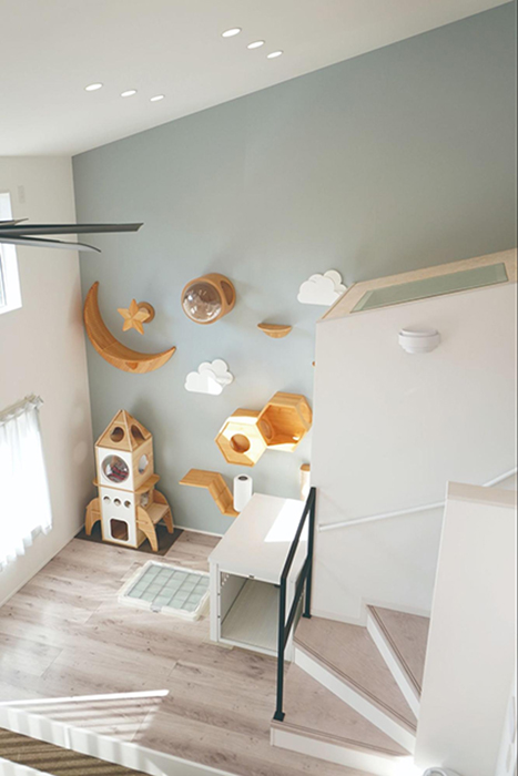 空色の壁と雲のステップ。猫も人も楽しいリビング空間