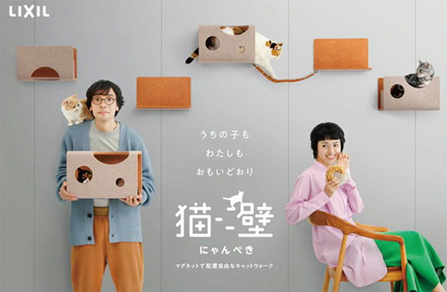 猫壁(にゃんぺき)