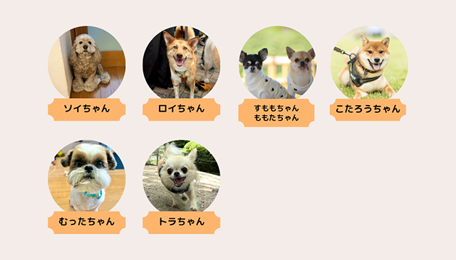 部員紹介｜犬とのくらし部