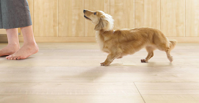 ペット用床材「ワンラブフロアV」で快適空間を