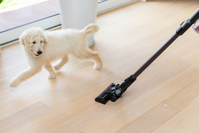 犬用フローリングを選ぶときの3つのポイント