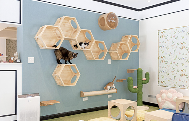 【MYZOO】六角ハウス