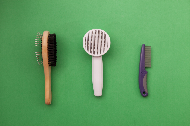 ビーグルの抜け毛対策｜「減らす」ためにできること