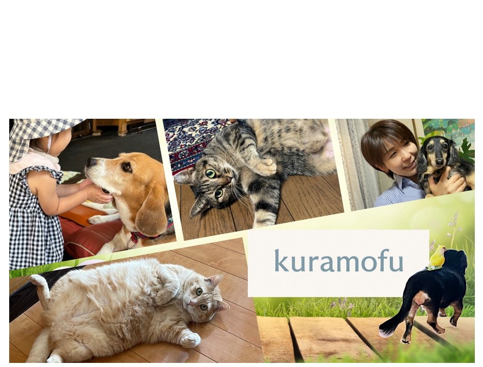 サンプル