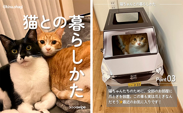 きなこちゃん・おはぎちゃん ちゃん（部員番号C013）