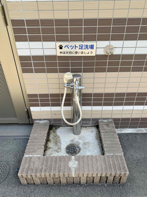 ペットと暮らしやすいマンション選びのコツ