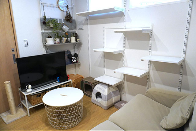 東京で出会った猫共生マンション
