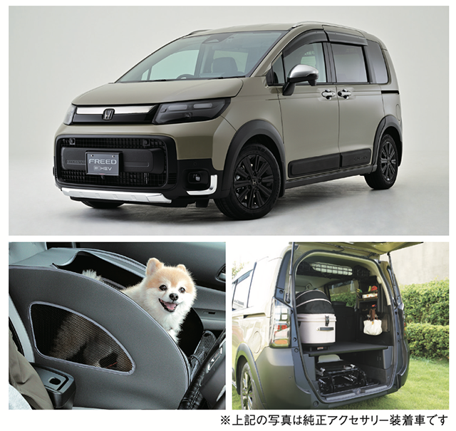 Honda Dog