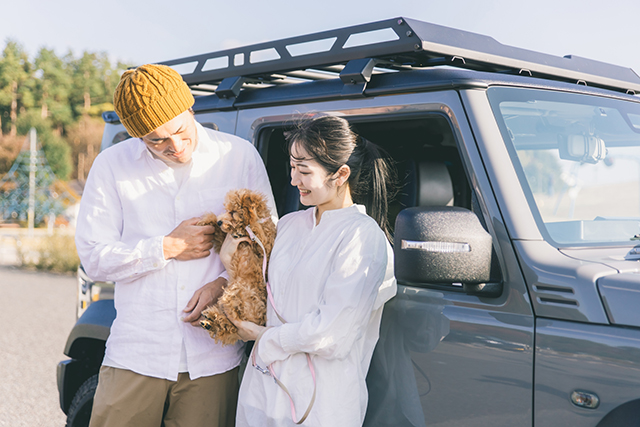 愛犬と快適に旅するための旅行プランの立て方