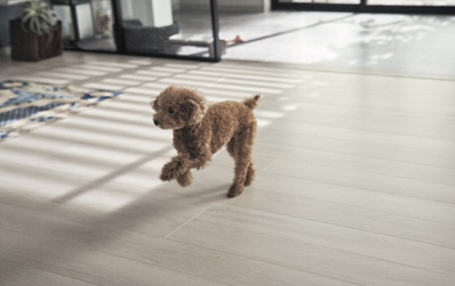 傷や汚れに強い床材「ベリティスフロアー わんにゃんSmile」