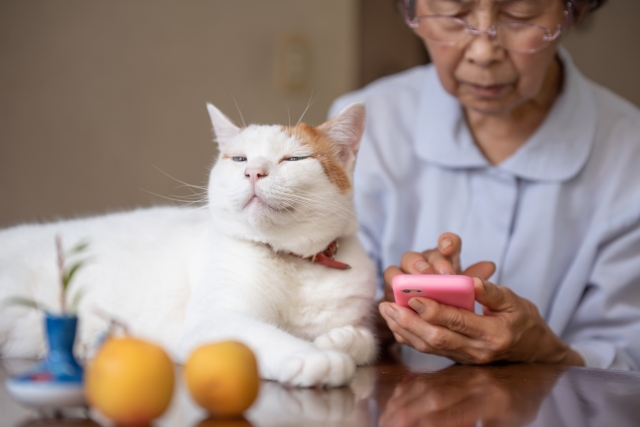 ペット後見が必要な3つの場面