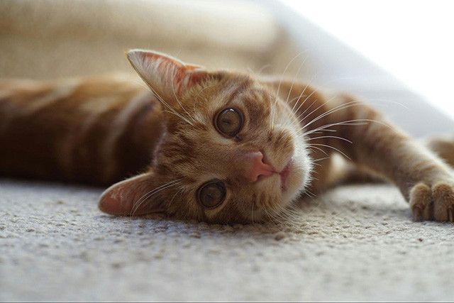 遊びすぎで体調不良？危険なサインとリスク